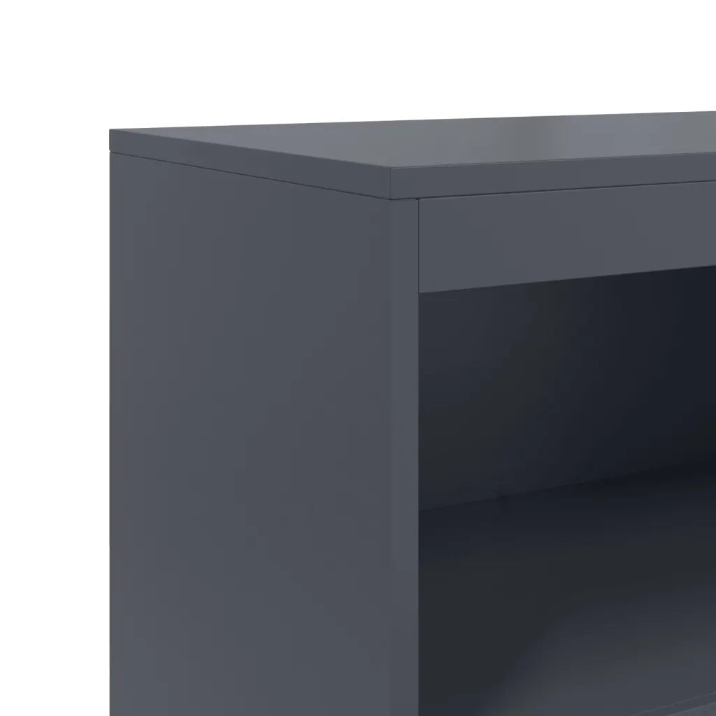 Credenza | Madia | Buffet da pranzo | Armadio da pranzo Antracite 68,5x38,5x123,5 cm in Acciaio