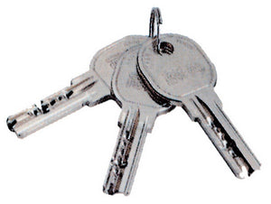 iseo art. 020839 new chiavi grezze r6 cod:ferx.37453