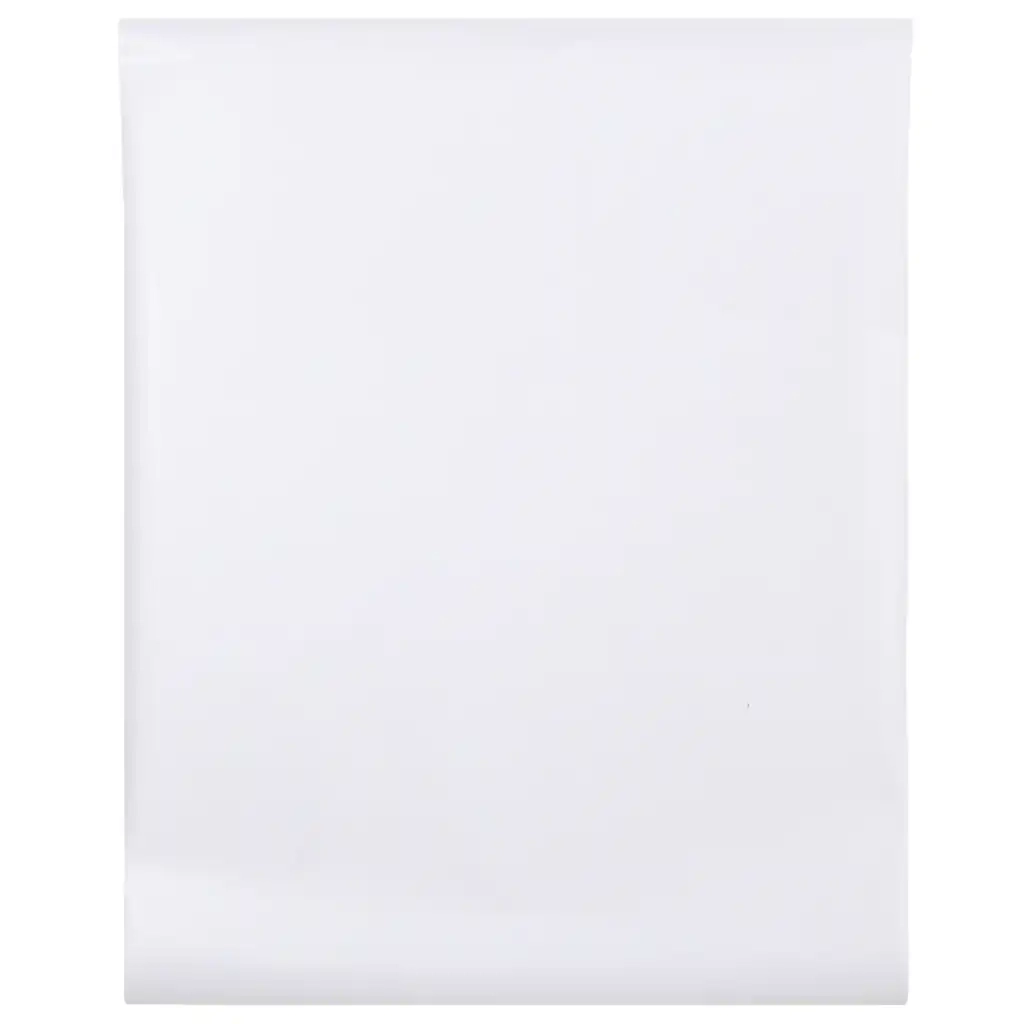 Pellicola per Finestra Design Smerigliato Strisce 45x1000cm PVC