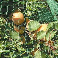 RETE protezione per UCCELLI ANTI UCCELLO ortaggi alberi frutti ARRIGONI 4x10