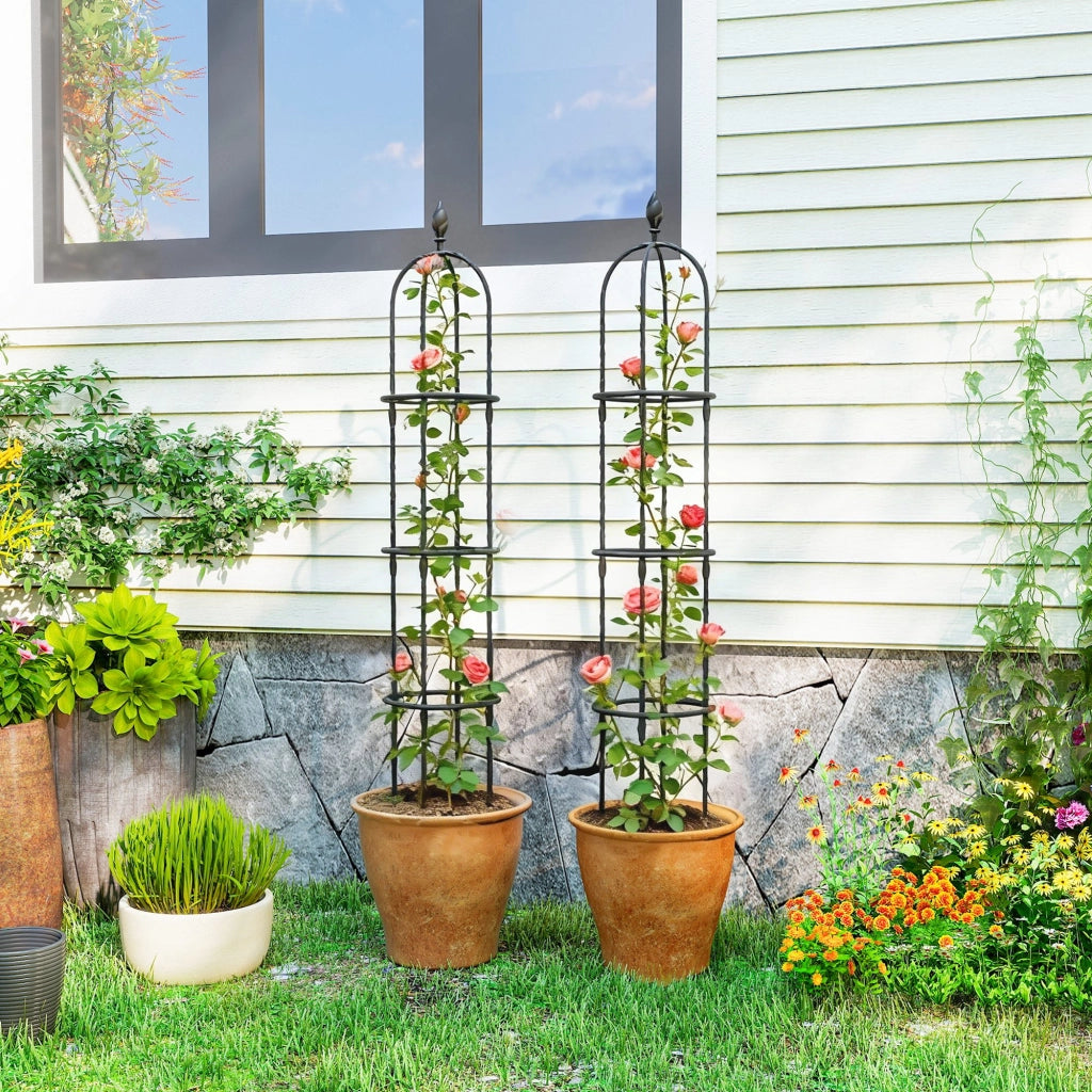 Set 2 Supporti per Piante Rampicanti Alti 1.7 m in Acciaio Antiruggine con Decorazioni. Nero