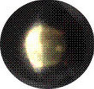 bullette lisce 9 mm bronzato sfumato (pz.1.000) cod:ferx.37719