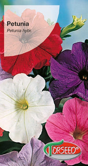 Petunia da giardino - Miscela per balcone Petunia hybrida grandiflora nana 0,1 g