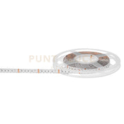 GST165R- STRISCIA LED 5MT RGB 4220LM 19W/m IP20
