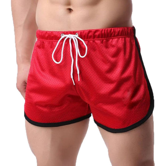 Teraplast insula over 28 fog over 28 fog