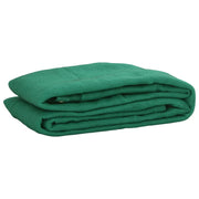 Rete per rimorchio copertura per ancoraggio del carico portapacchi 2,5 x 3,5 m HDPE verde 02_0042169