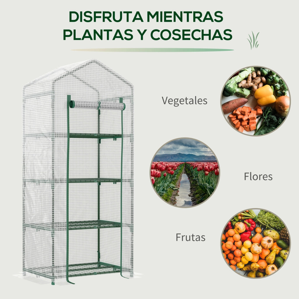 Serra da Giardino con 4 Ripiani e Copertura in PE 140g/m2 ¨C zephmum ¨C 70x50x160 cm Bianco