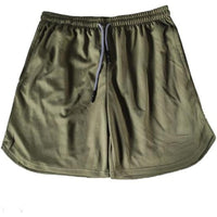 Teraplast insula time 40 fog time 40 fog