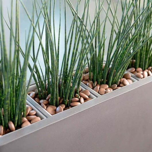 Teraplast insula pebbles l (50x25) 08 brown