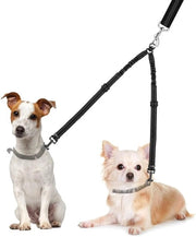 Doppia cintura per cani 360° girevole per due cani - Cintura bungee regolabile con assorbimento di shock e riflessi