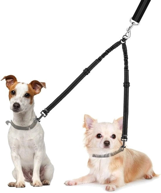 Doppia cintura per cani 360° girevole per due cani - Cintura bungee regolabile con assorbimento di shock e riflessi