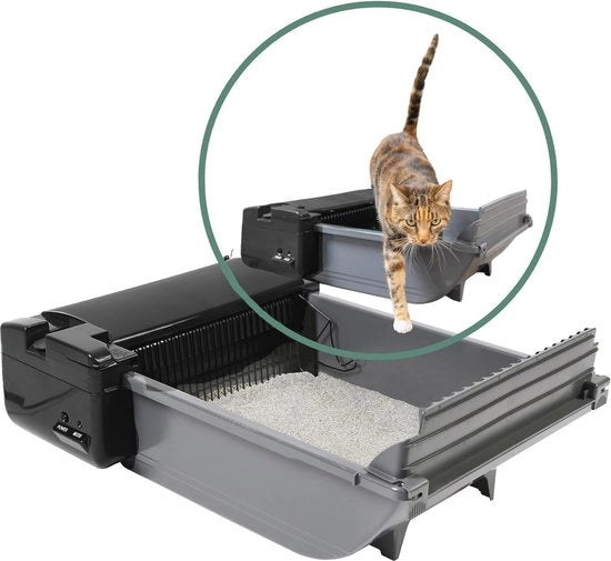 Polveriera per gatti autonoma con sensore intelligente - ideale per 2 gatti