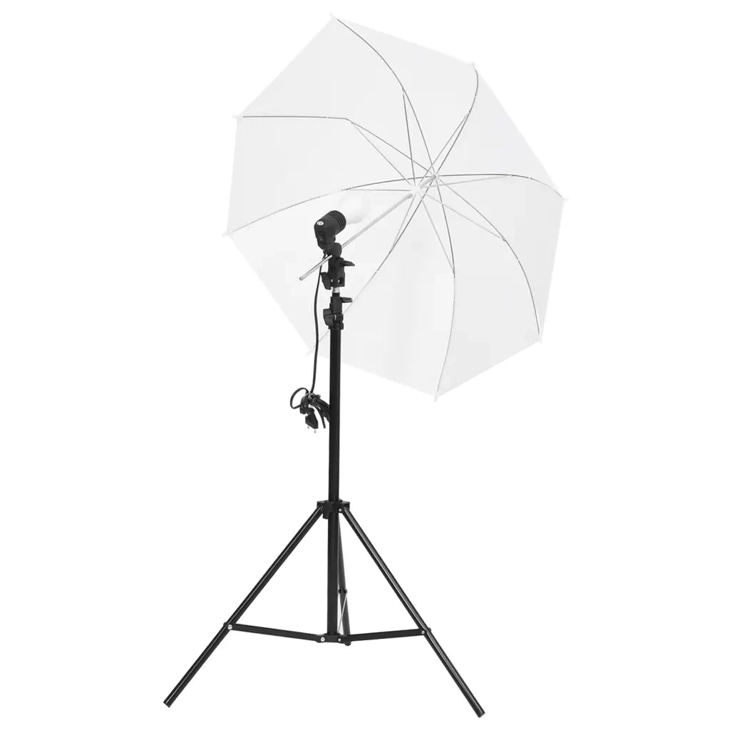 Kit per Studio Fotografico con Set Luci, Fondale e Riflettore 3143936