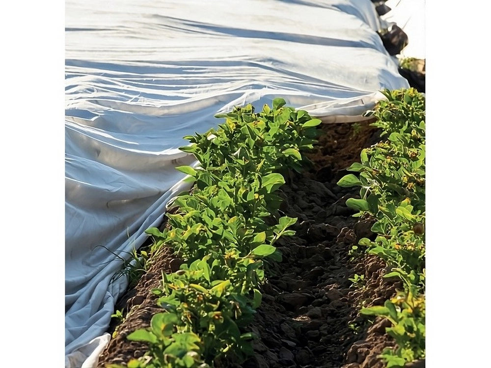 1rotolo telo antigelo in tnt a rotolo per semi e piantine mt. 1,60x250 cod:ferx.vit53398