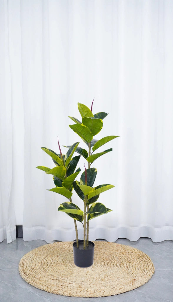 Pianta Finta Da Interno Artificiale Grandi Varie Altezze 100/150/180 Cm Artificiali Vari Modelli Modellabili Decorazioni Casa Ufficio - Albero Della Gomma - Altezza 100cm