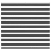 Tenda a rullo | Tenda avvolgibile Zebra Nero Larghezza Tessuto 150,9 cm Poliestere