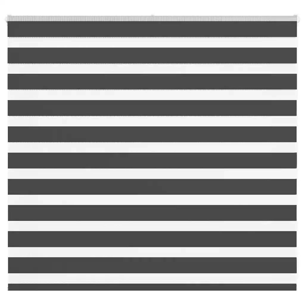 Tenda a rullo | Tenda avvolgibile Zebra Nero Larghezza Tessuto 150,9 cm Poliestere