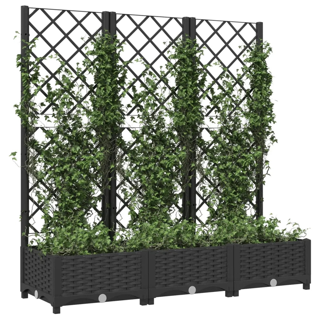 Fioriera | Cassetta per fiori | Vaso da giardino con traliccio nera 120x40x121,5 cm PP