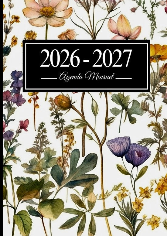 Pianificatore Mensile 2026-2027: Riepilogo Annuale per Pianificazione a Due Anni