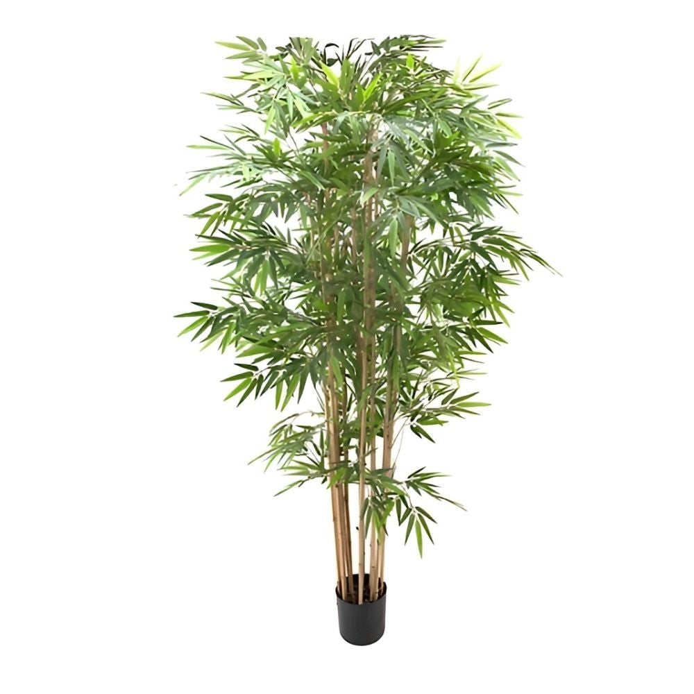 Pianta di bamboo 230 cm x 2480 foglie