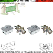 Motori Under 230 V Completi di Casse Interrate Autoportanti Possono Sostenere Ante Cancello Fino a 5 Q.li in Acciaio Zincato Ambidestre Set Staffe Fine Corsa Meccanici Compatibile VDS Came Lievore