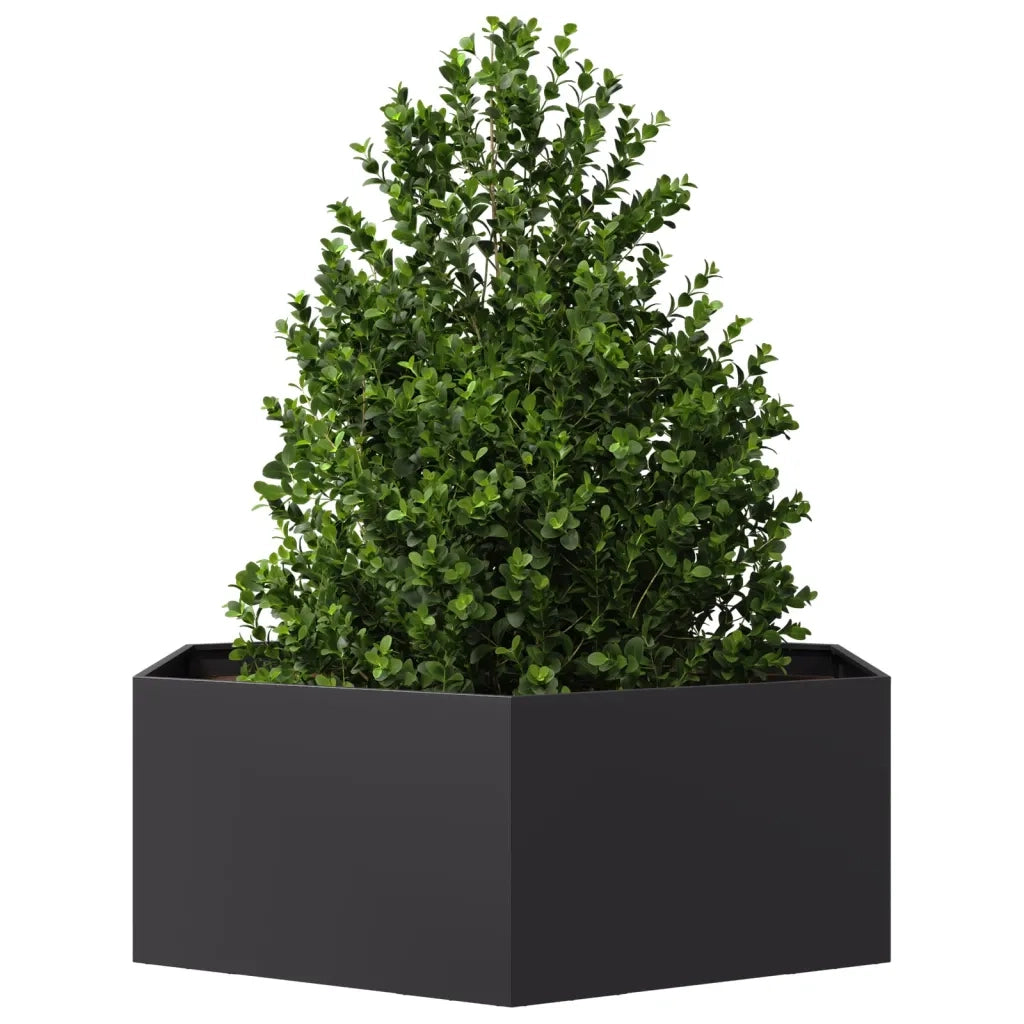 Fioriera da Giardino-Vaso da Esterno-Contenitore per Piante Nera Esagono 138x120x45 cm in Acciaio