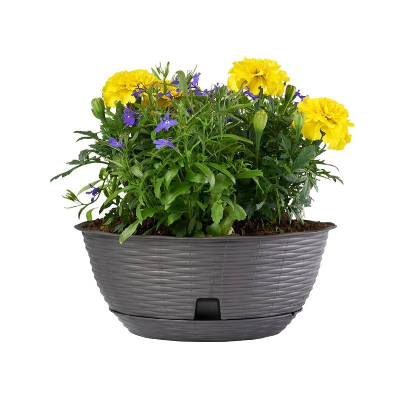 CIOTOLA PER FIORI 'PAGLIA' Ø cm 20xh.8,5  lt.1,6 - antracite- 12 pezzi  - BAMA