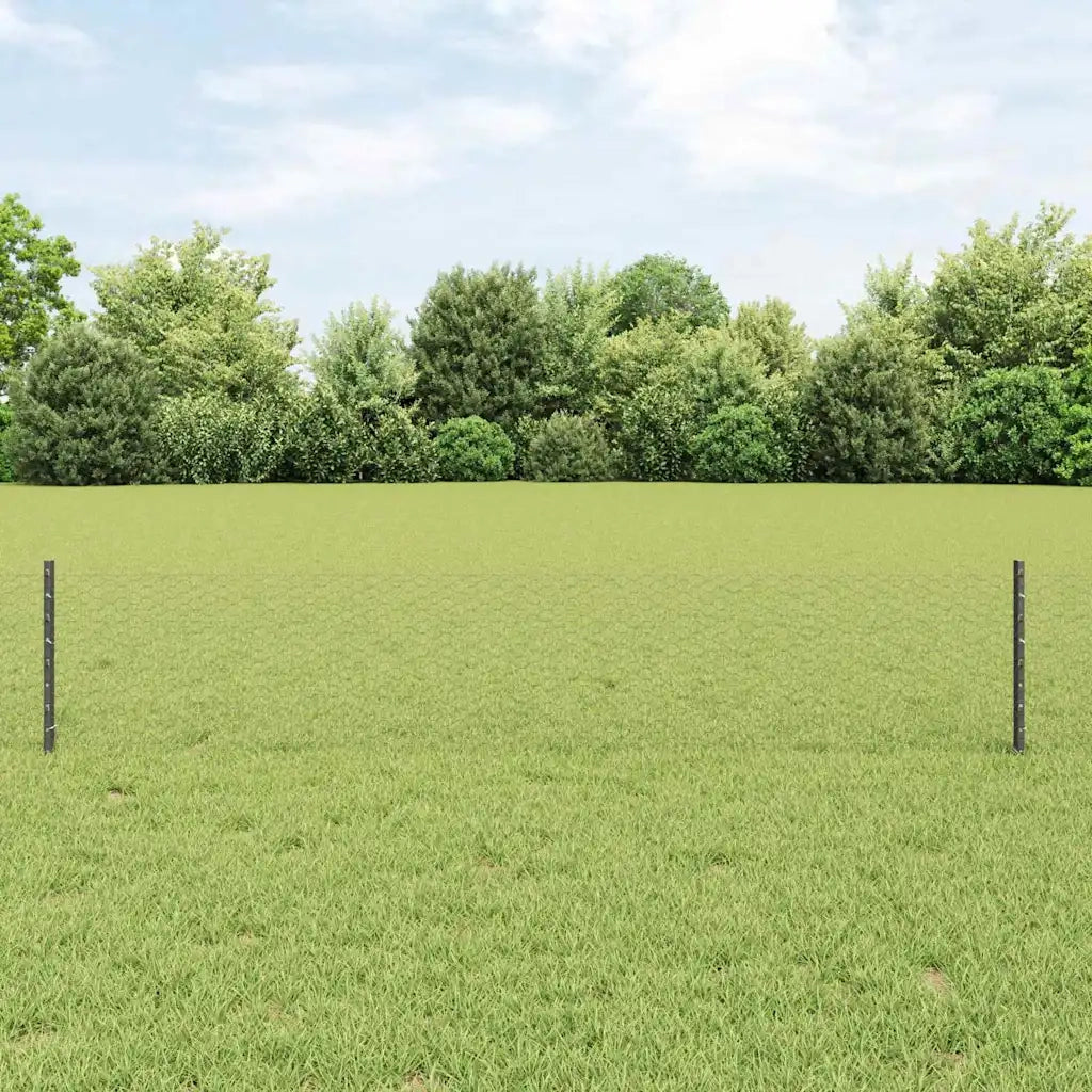 Recinzione da Giardino | Recinzione con Posto Grigio