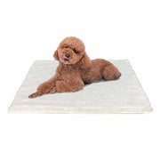 Letto per cani piccoli - 61x45cm cuscino per cani morbido materasso per cani lavabile per cani piccoli con fondo antiscivolo, beige