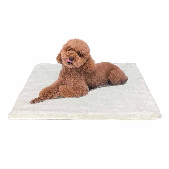 Letto per cani piccoli - 61x45cm cuscino per cani morbido materasso per cani lavabile per cani piccoli con fondo antiscivolo, beige