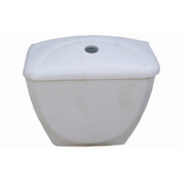 Cassetta per vaso monoblocco felce in porcellana