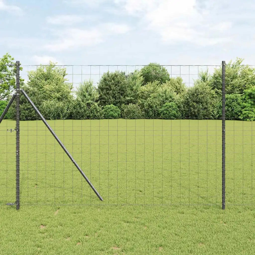 Recinzione Euro Grigio 1,6 x 10 m Ferro rivestito in PVC 42004513