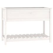Fioriera | Cassetta per fiori | Vaso con Mensola Bianca 111,5x54x81 cm Legno Massello Pino