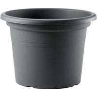 Teraplast aura basic round 30 clay