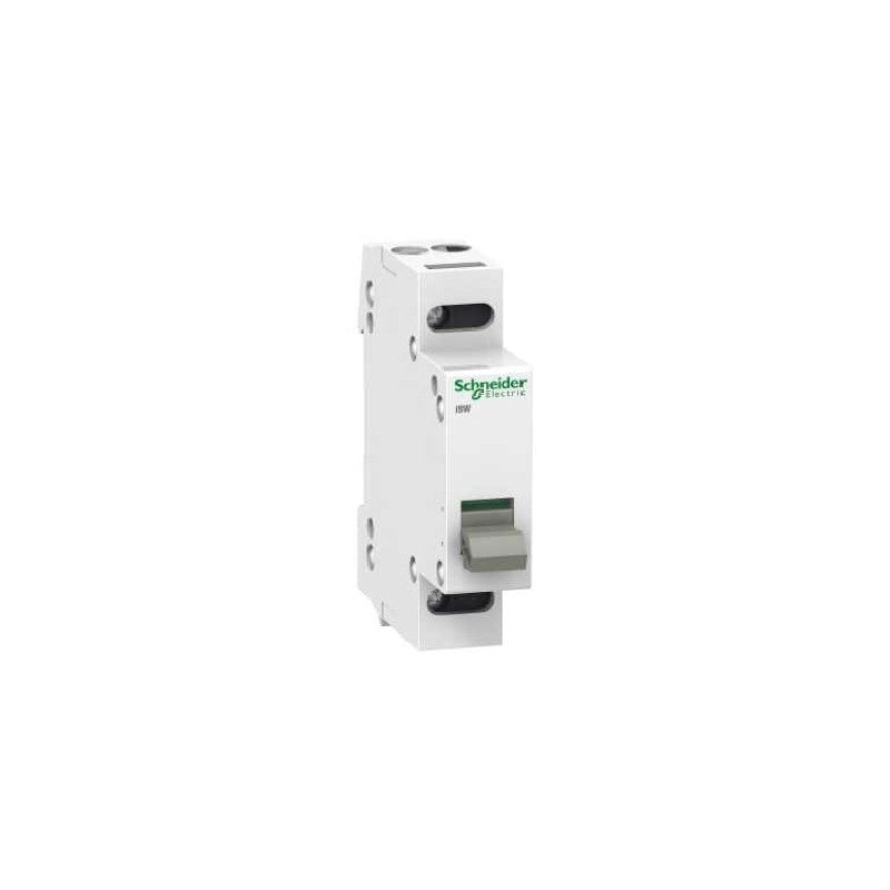Interruttore Sezionatore Isw 2P 32A 415V Ca 50/60Hz 4Kv Ip4