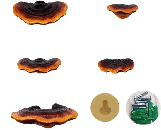 Set di 5 Tavole Decorative Mini Reishi - Hars - Decorazione - Vita Reale - Per Interno/Esterno