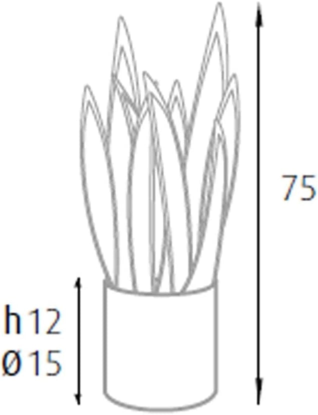P2150075 - Pianta sansevieria 21 foglie