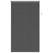 Tenda Veneziana | Tenda a lamelle Grigio Argento 213 x 110 cm 25 mm PVC
