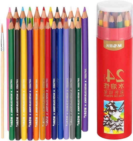 Set di Pastelli Coloranti 24 pezzi | Pastello da Disegno | Idoneo per Acqua | Materiale per l'Arte | Per Principianti e Adulti | Libro di Colori Regalo | Pittura | 24 Colori