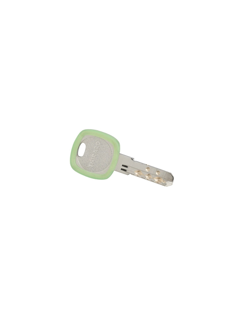 Anello portachiavi Ø 24 mm, verde – THIRARD