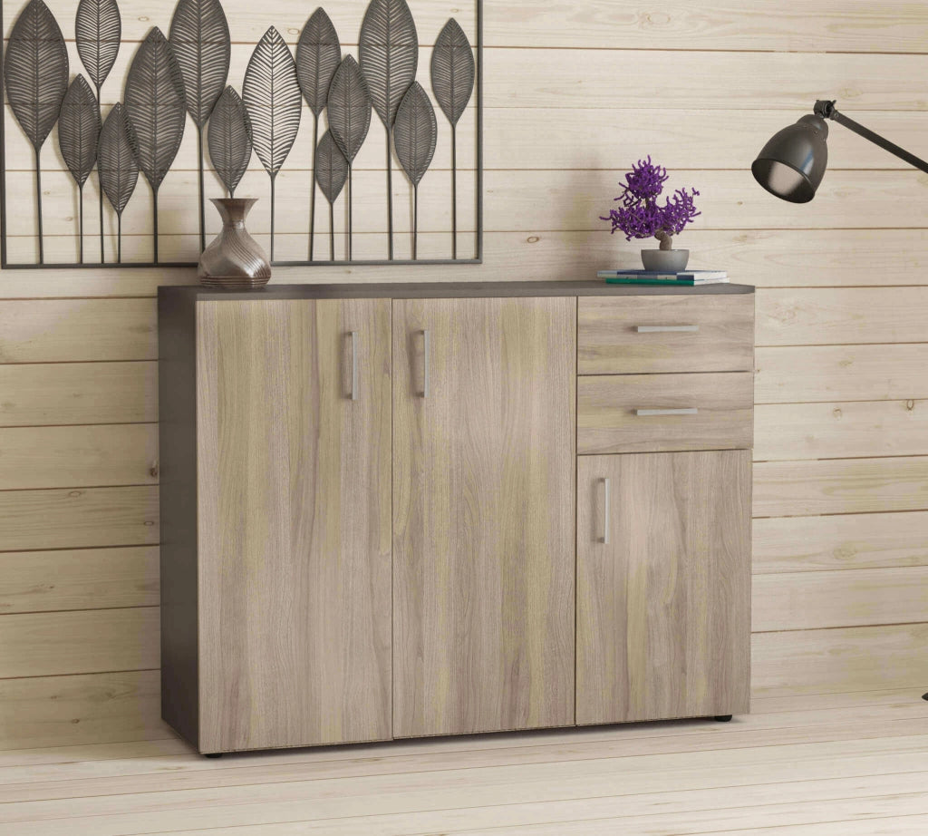 Madia Moderna con 2 cassetti e tre ante in Legno Composito cm 120x35x93 - READ