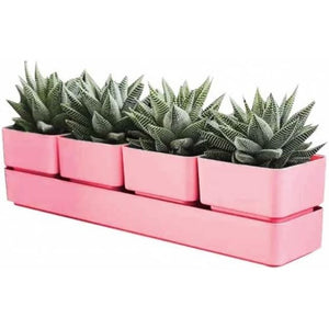 Teraplast colour sierra 38 coralsierra 38 coral