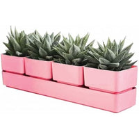 Teraplast colour sierra 48 coralsierra 48 coral