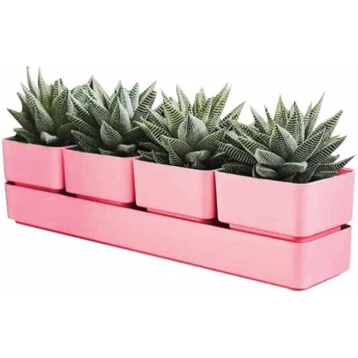 Teraplast colour sierra 48 coralsierra 48 coral