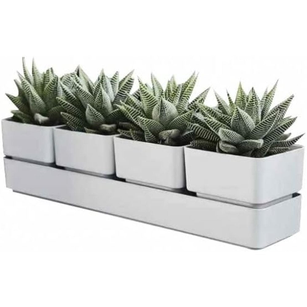 Teraplast colour sierra 48 snow sierra 48 snow