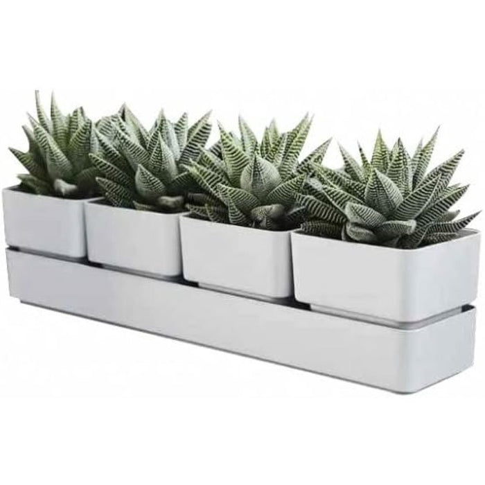 Teraplast colour sierra 48 snow sierra 48 snow