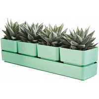 Teraplast colour sierra 48 olivesierra 48 olive