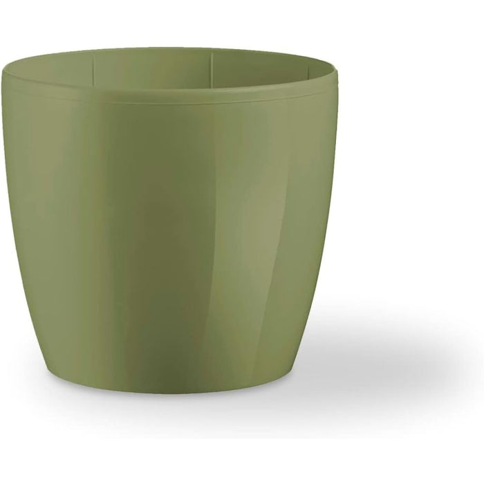 Teraplast colour madeira 14 olive