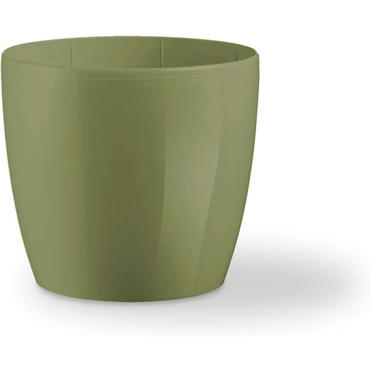 Teraplast colour madeira 22 olive