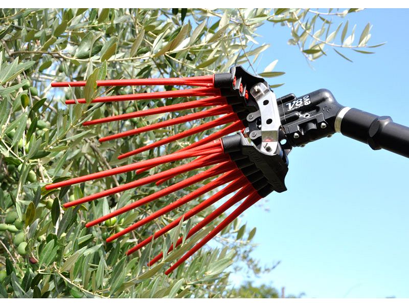 Abbacchiatore Lisam V8 EVO con astine intercambiabili